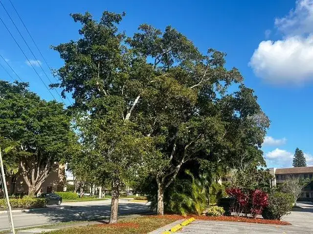 10332 SUNRISE LAKES Boulevard # 111, Sunrise FL 33322