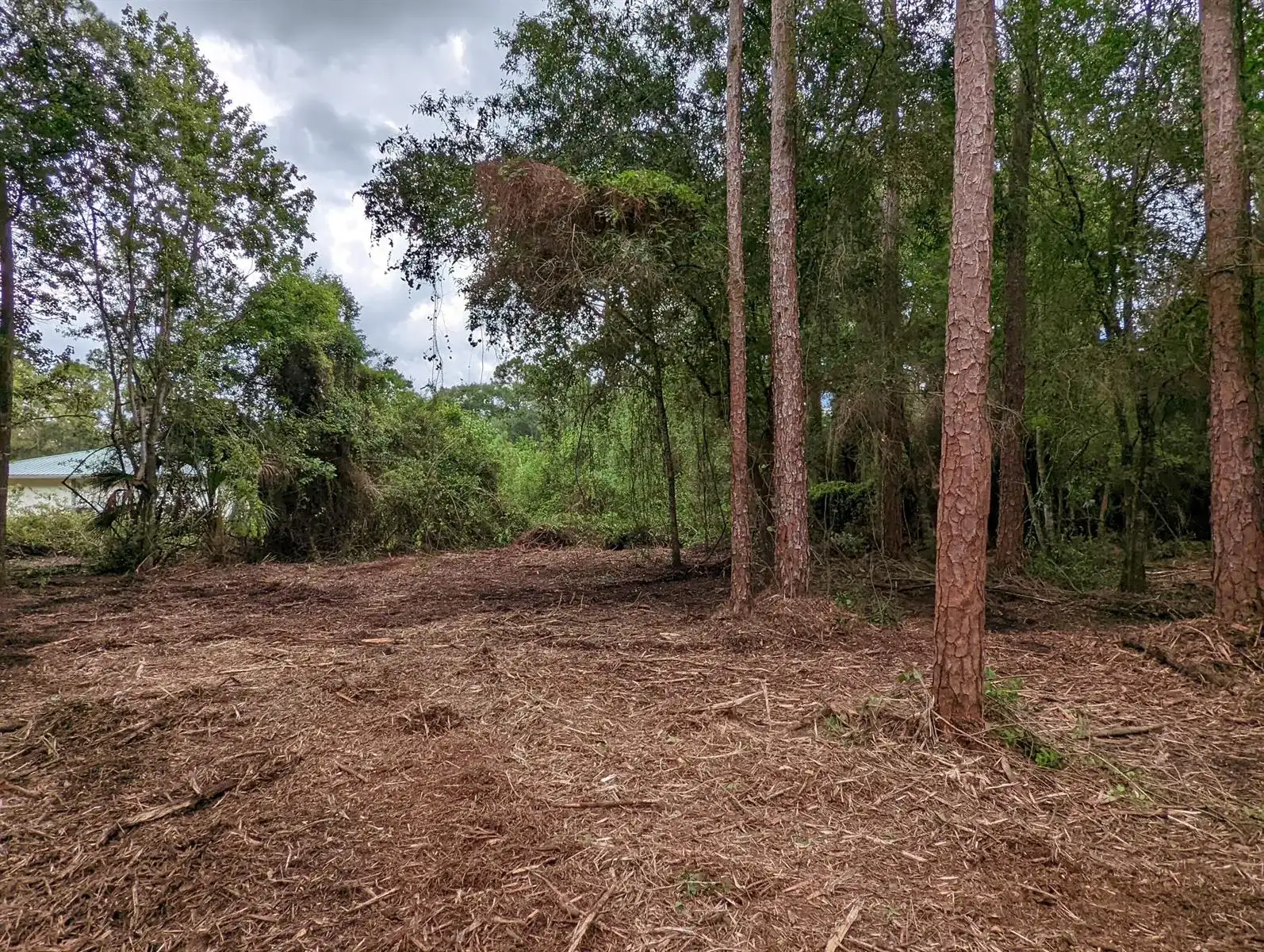 13550 NE 18TH Avenue, Okeechobee FL 34972 photo 2