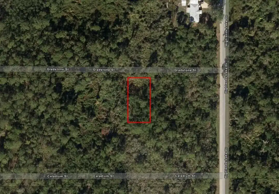 1521 Gladstone Street, Lake Placid FL 33852