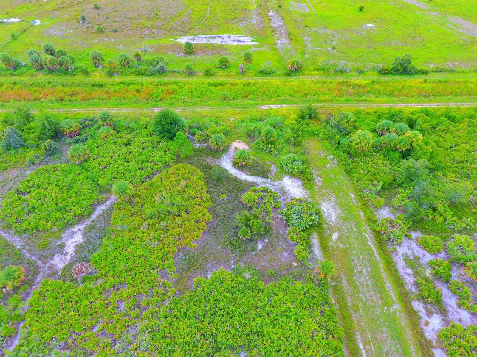 21594 NW 282ND Street, Okeechobee FL 34972 photo 4