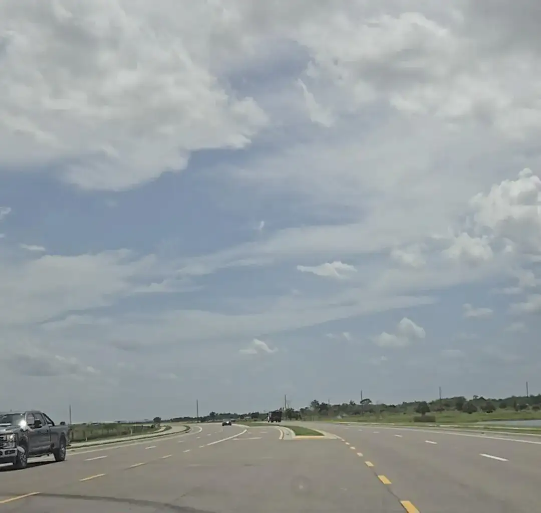 0 0, FL 33647 photo 4