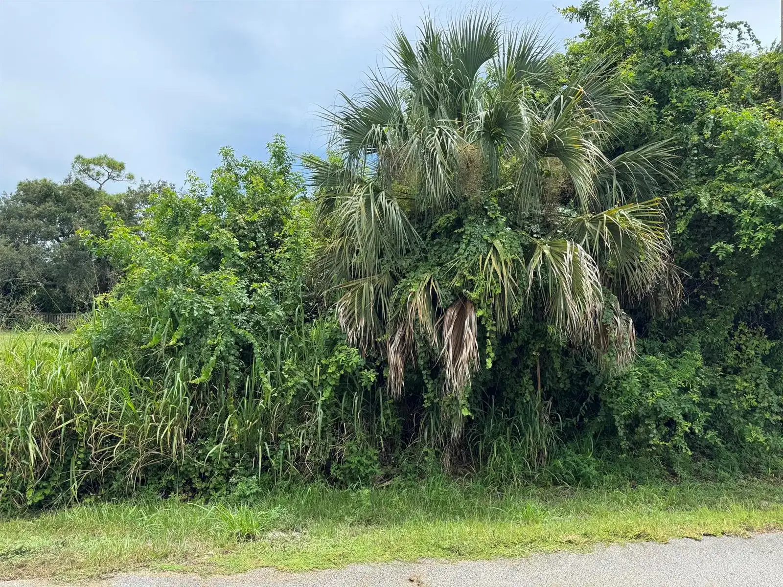 0 San Diego Avenue, Fort Pierce FL 34946 photo 2