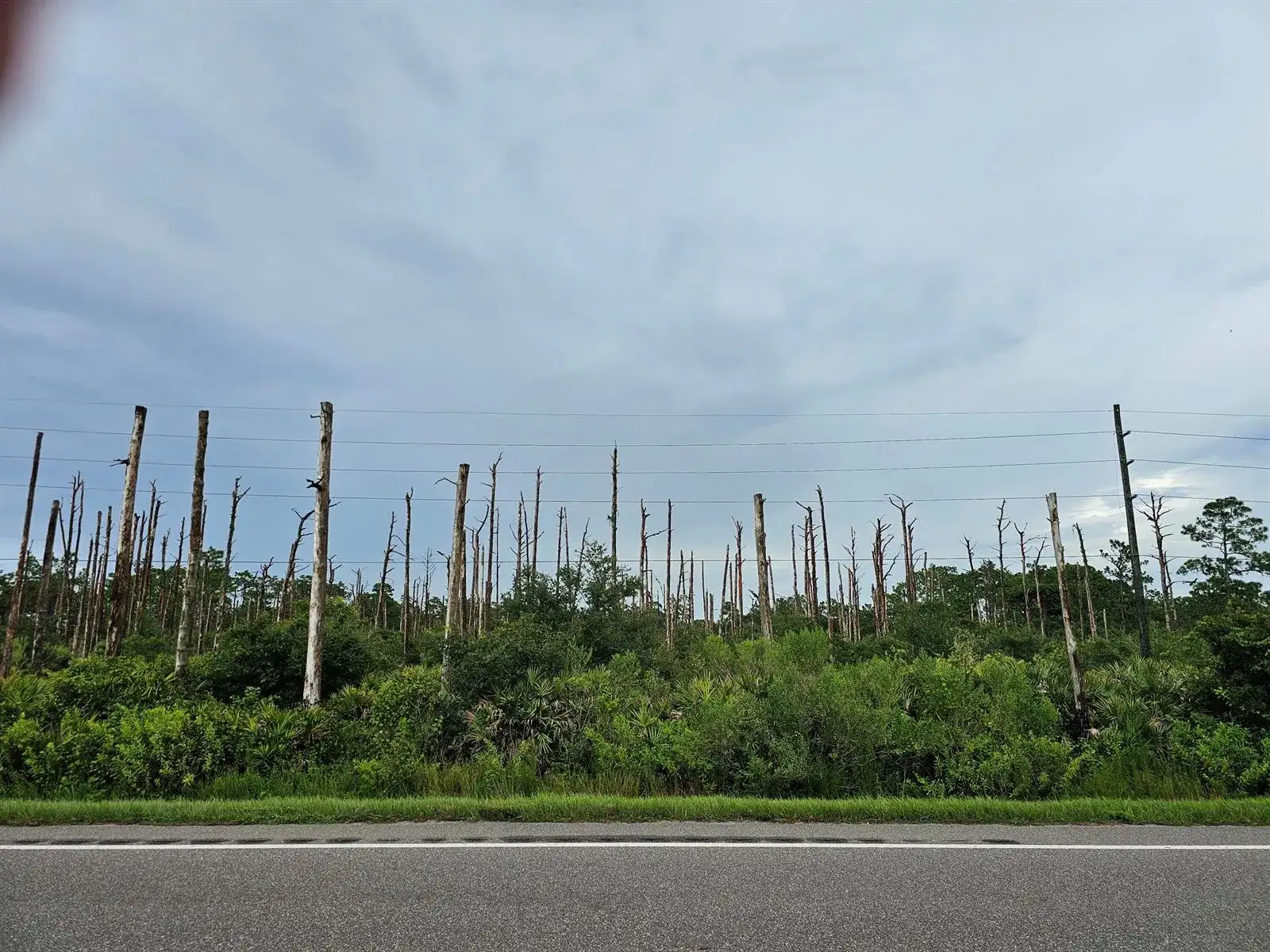 34964 HWY 441, Okeechobee FL 34972 photo 5