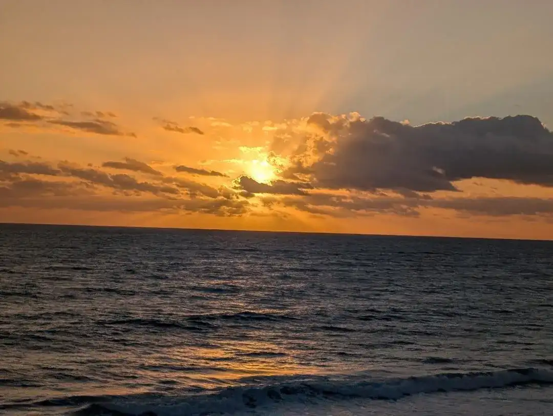 4200 N HIGHWAY A1A # 711, Hutchinson Island FL 34949 photo 2