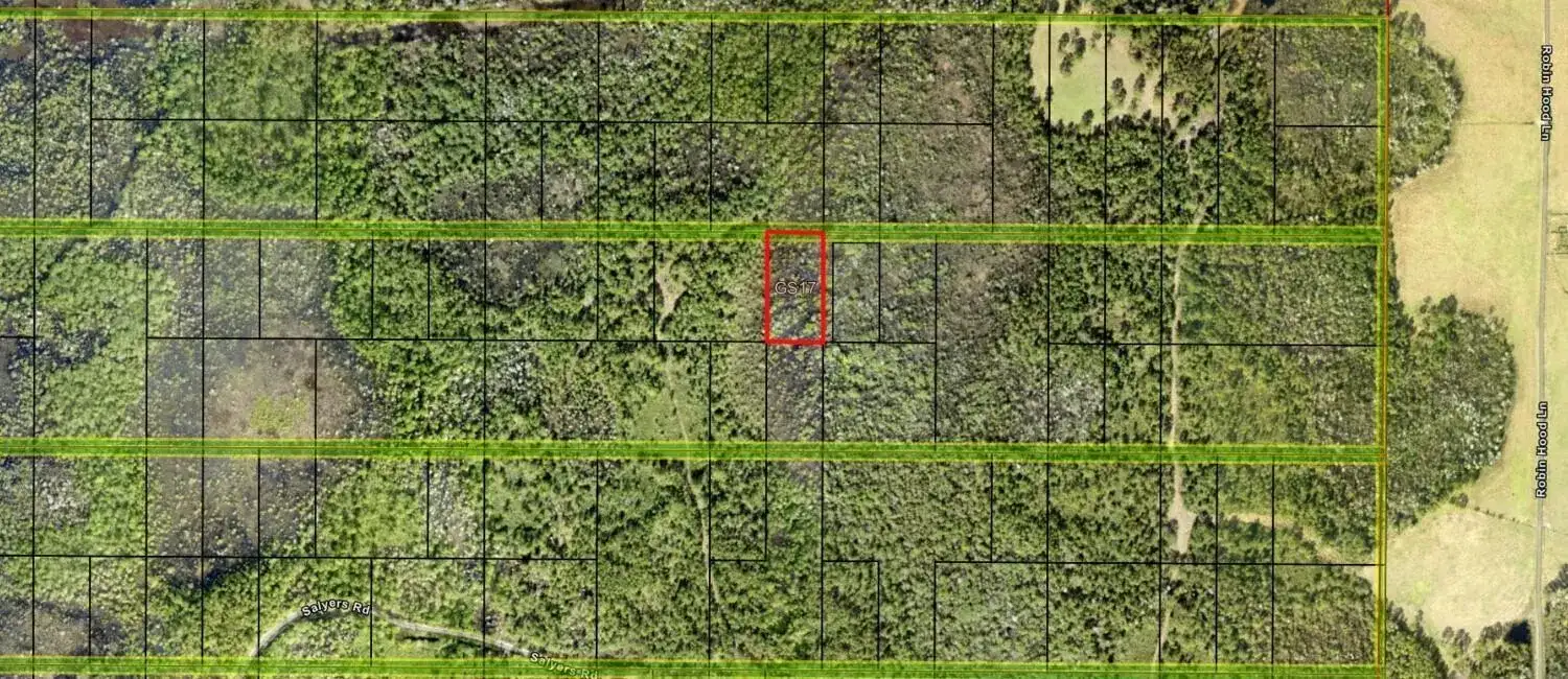 0 Salyers Road, FL 34736 photo 2