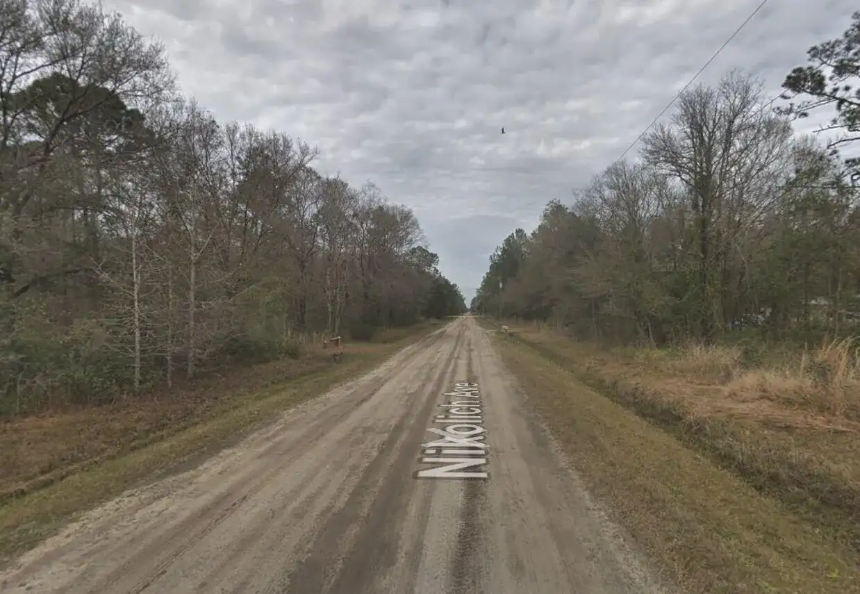 10135 Nikolich Avenue, FL 32145 photo 2