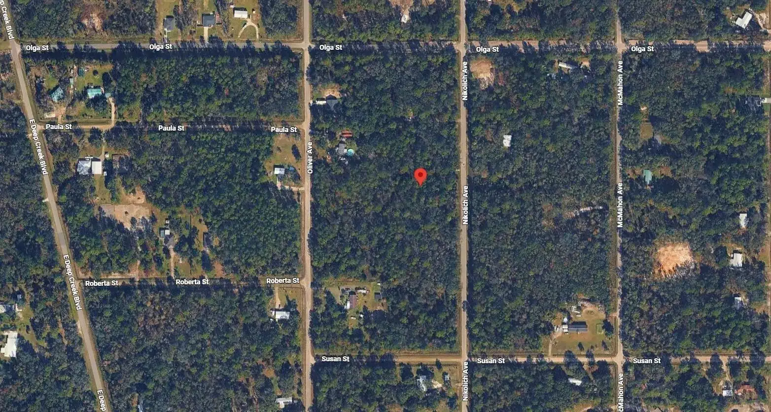 10135 Nikolich Avenue, FL 32145 photo 3