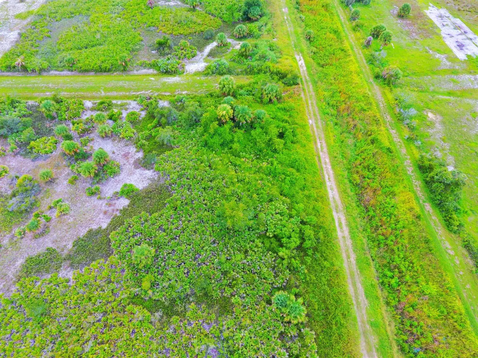 21591 NW 282ND Street, Okeechobee FL 34972 photo 4