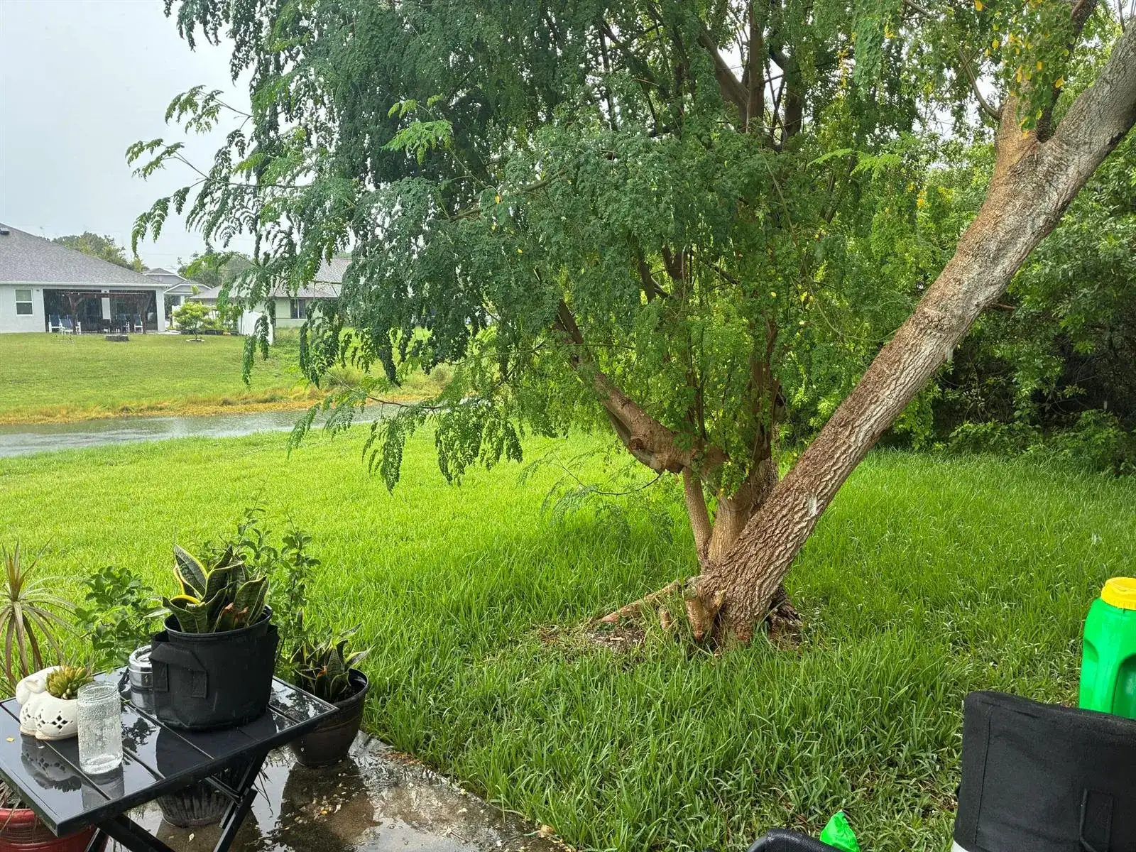 1282 SW DALTON Avenue, Port St. Lucie FL 34953 photo 5