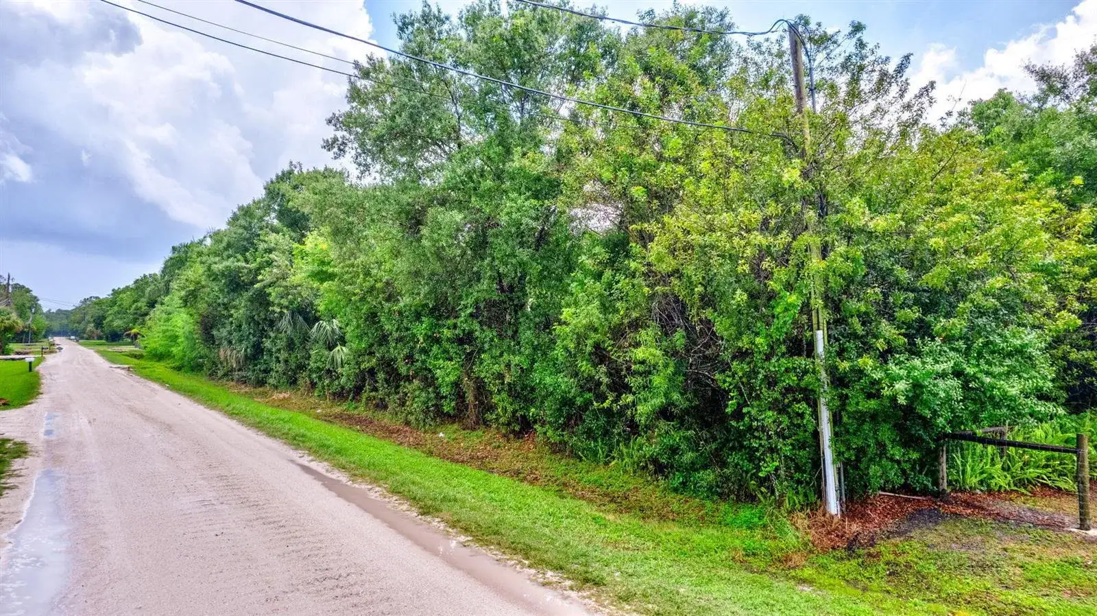 Xxxx 95th Avenue N, FL 33478 photo 4