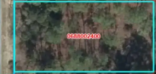 000 SE 134th court, FL 32621 photo 2