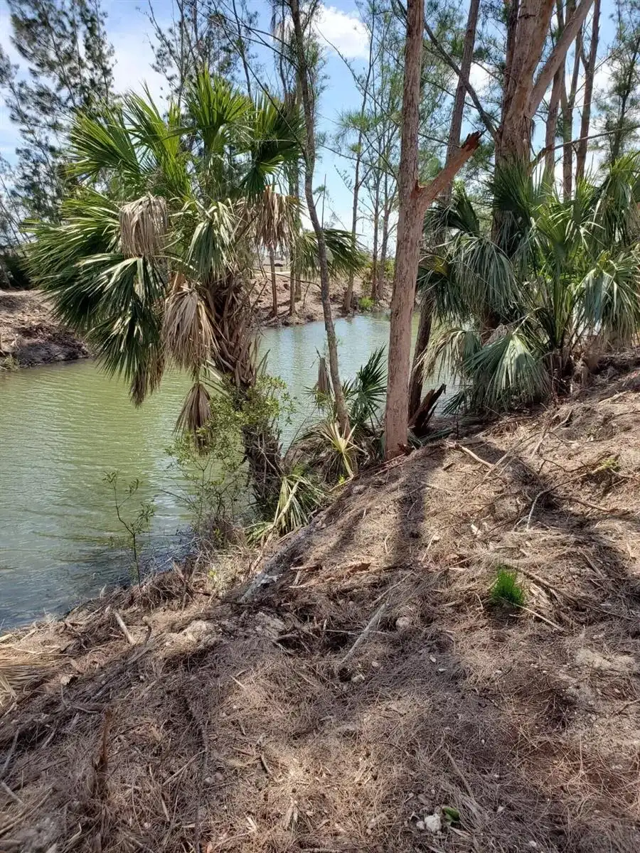 3905 NE 9TH Avenue, Cape Coral FL 33909