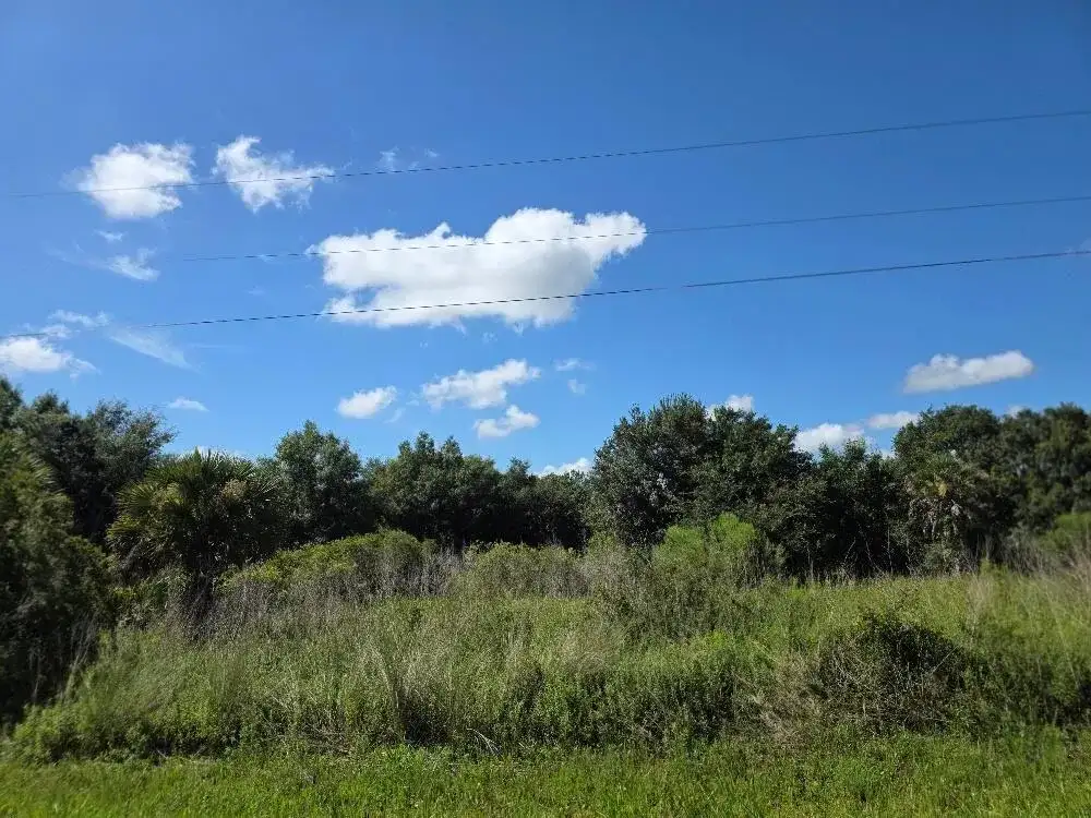 19096 NW 302ND Street, Okeechobee FL 34972 photo 4