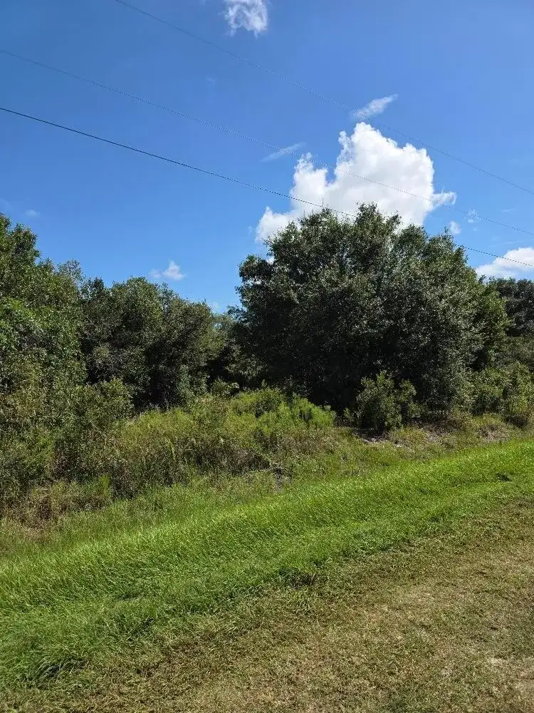 19096 NW 302ND Street, Okeechobee FL 34972 photo 5
