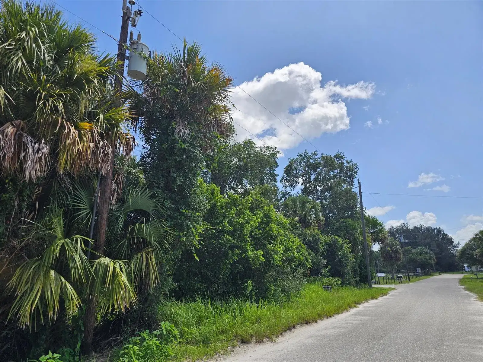 1875 NE 308th Street, Okeechobee FL 34972 photo 4