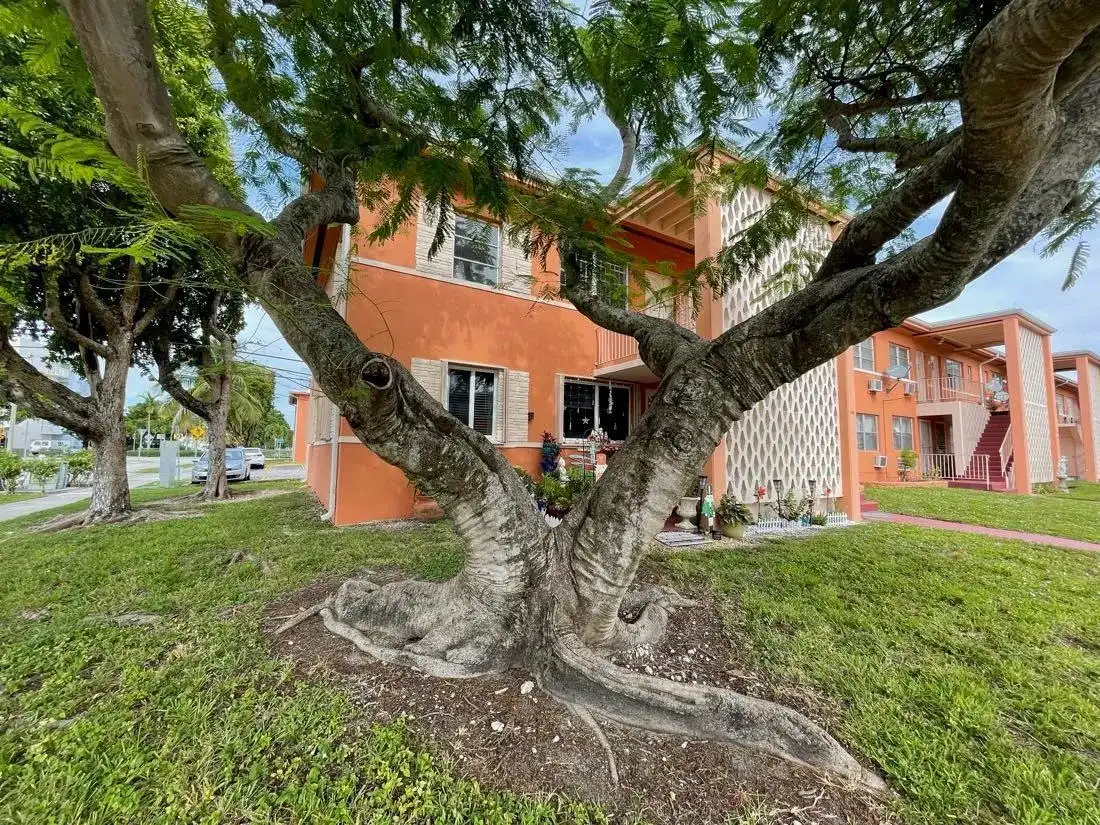 3591 SW 10TH Street # 12B, Miami FL 33135