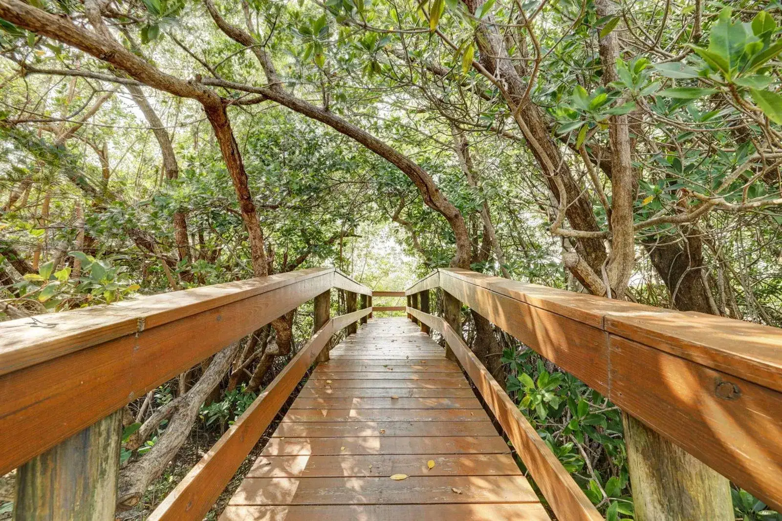 5059 N HIGHWAY A1A # 206, Hutchinson Island FL 34949 photo 2