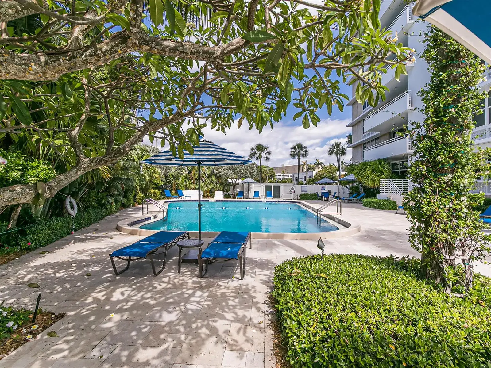 888 INTRACOASTAL Drive # 3D, Fort Lauderdale FL 33304 photo 5