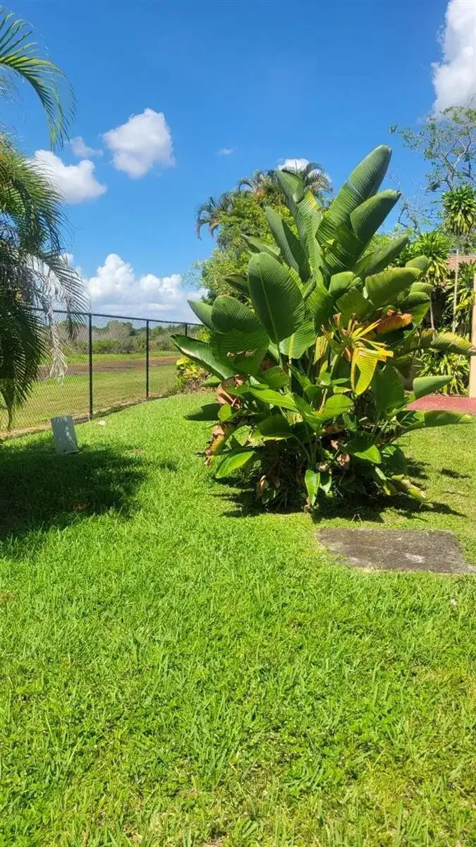 9520 W Daffodil Lane, Miramar FL 33025 photo 2