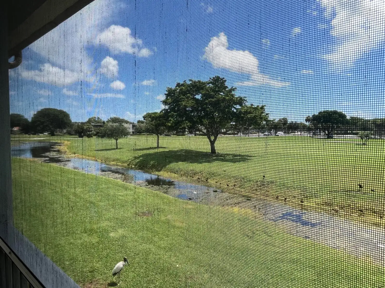 125 PIEDMONT C, Delray Beach FL 33484 photo 4