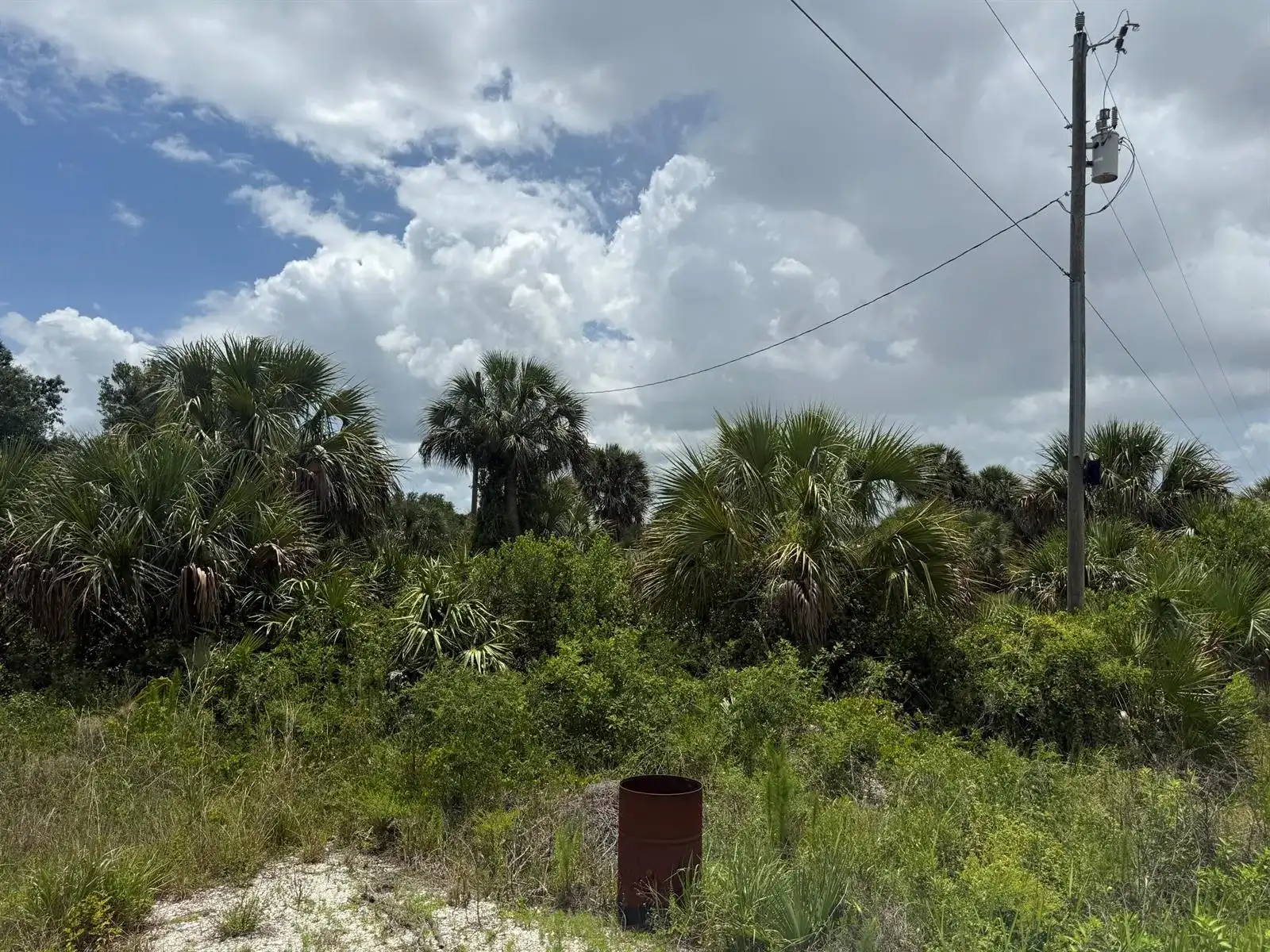 14788 NW 272ND Street, Okeechobee FL 34972