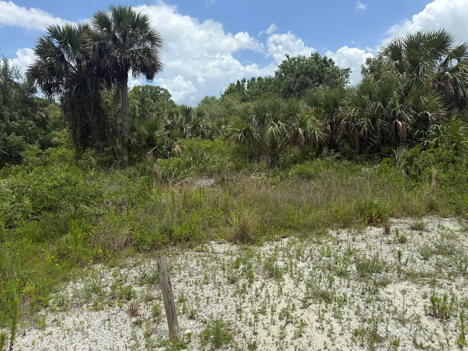 14788 NW 272ND Street, Okeechobee FL 34972 photo 2