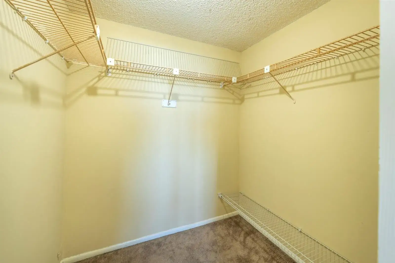 4501 NE 21st Avenue # 412, Fort Lauderdale FL 33308 photo 4