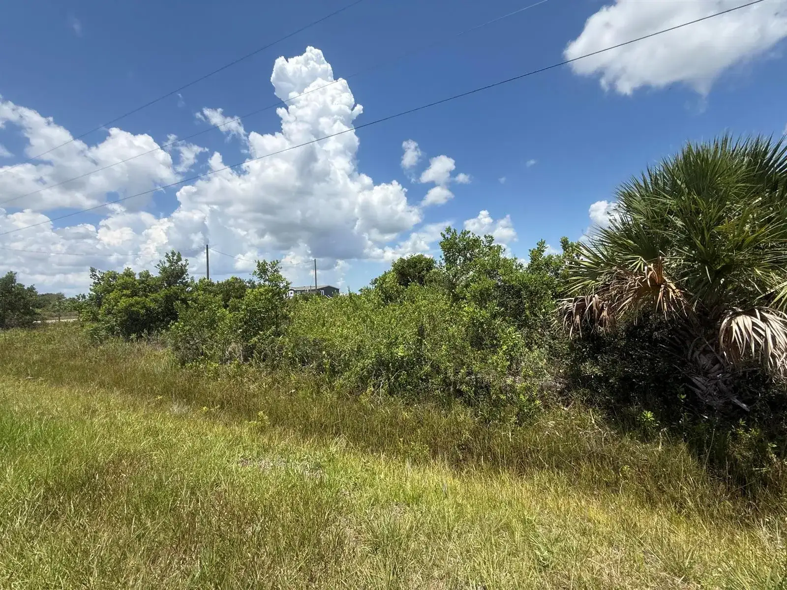 16061 NW 264TH Street, Okeechobee FL 34972 photo 2
