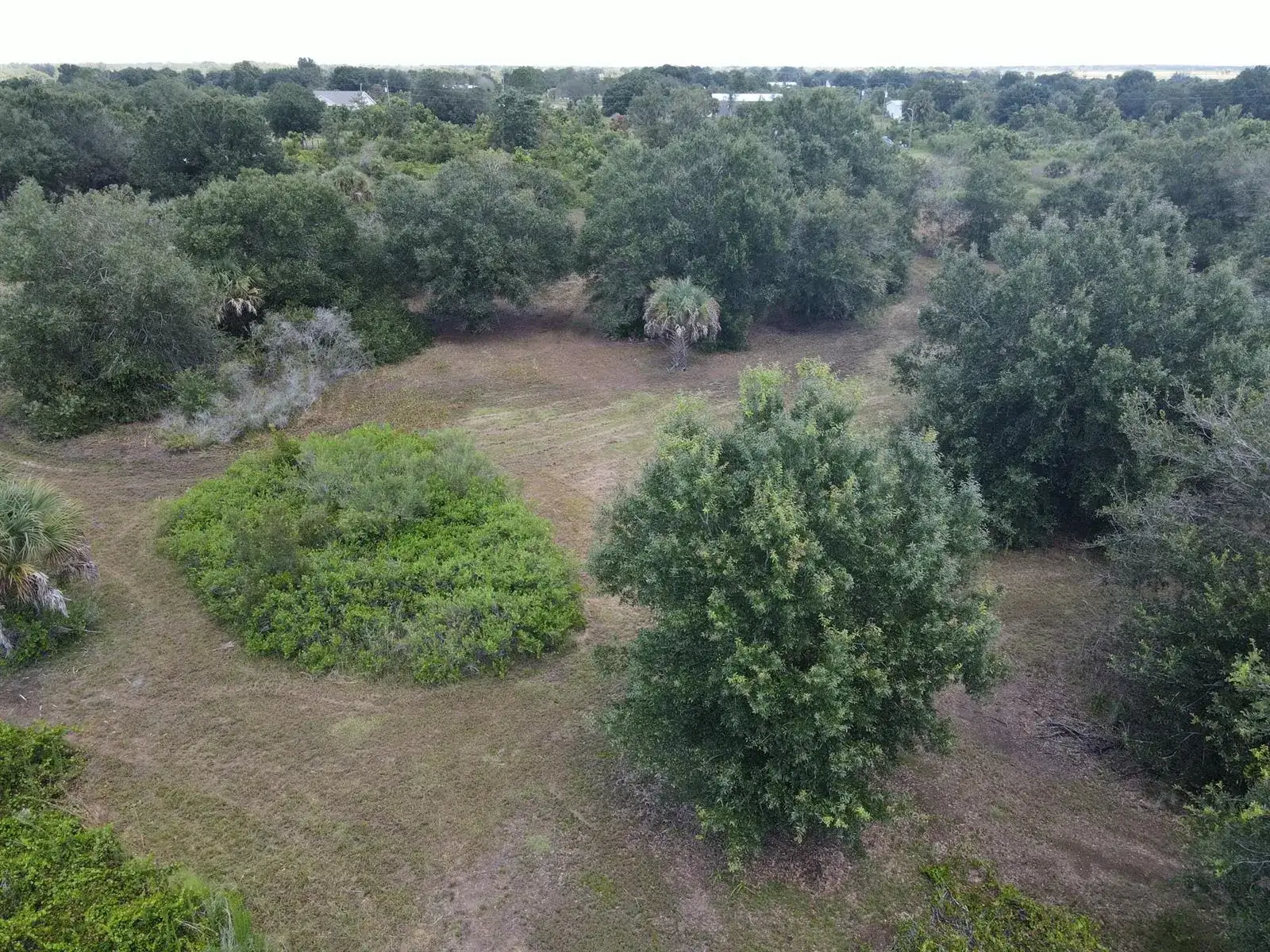 14771 NW 262ND Street, Okeechobee FL 34972 photo 4