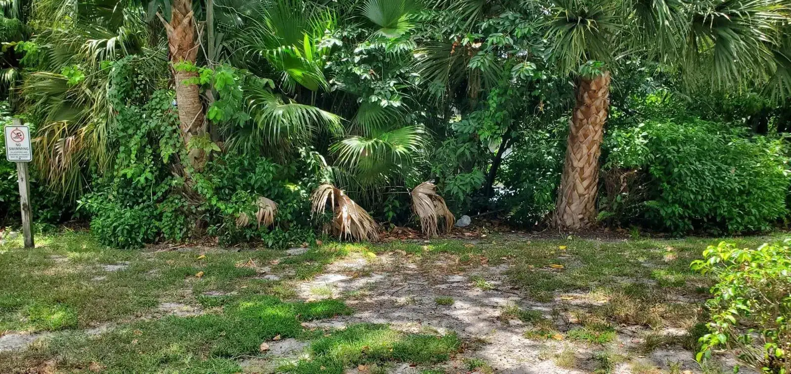 2303 N Congress Avenue, Boynton Beach FL 33426 photo 2