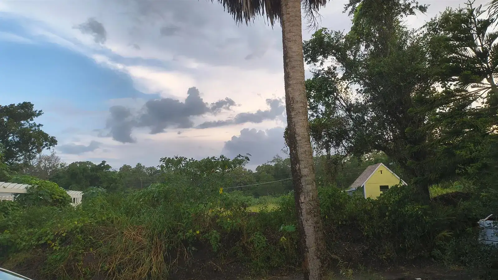 13859 OKEECHOBEE Boulevard, FL 33470 photo 3