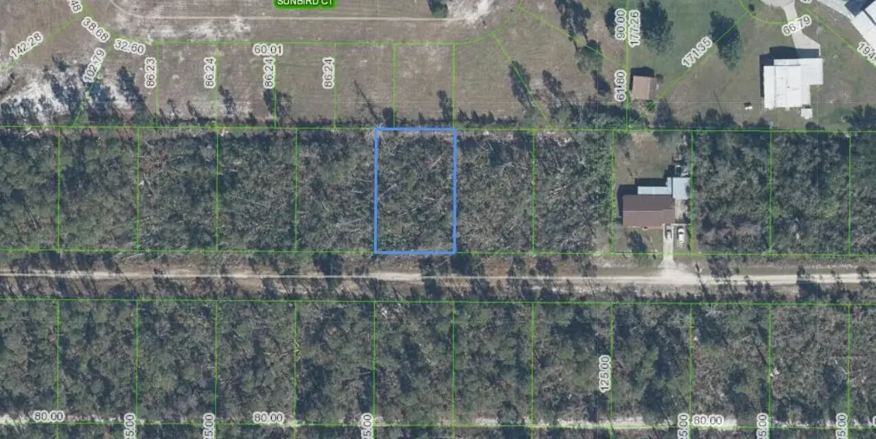 436 NIGHTINGALE Avenue, Sebring FL 33870