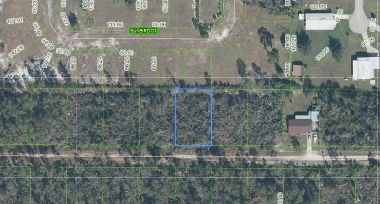436 NIGHTINGALE Avenue, Sebring FL 33870 photo 3