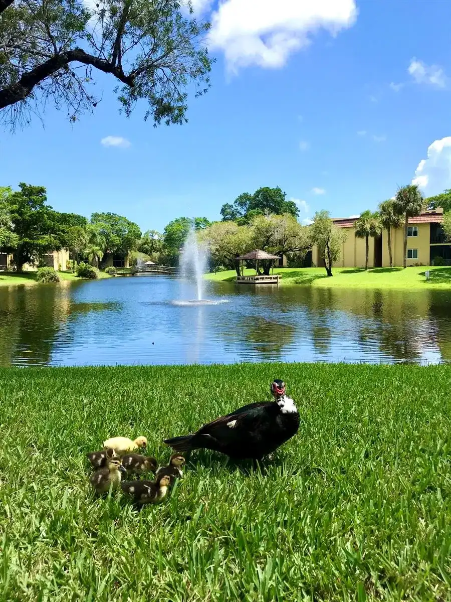 830 SW 9th Street Circle APT 201, Boca Raton FL 33486