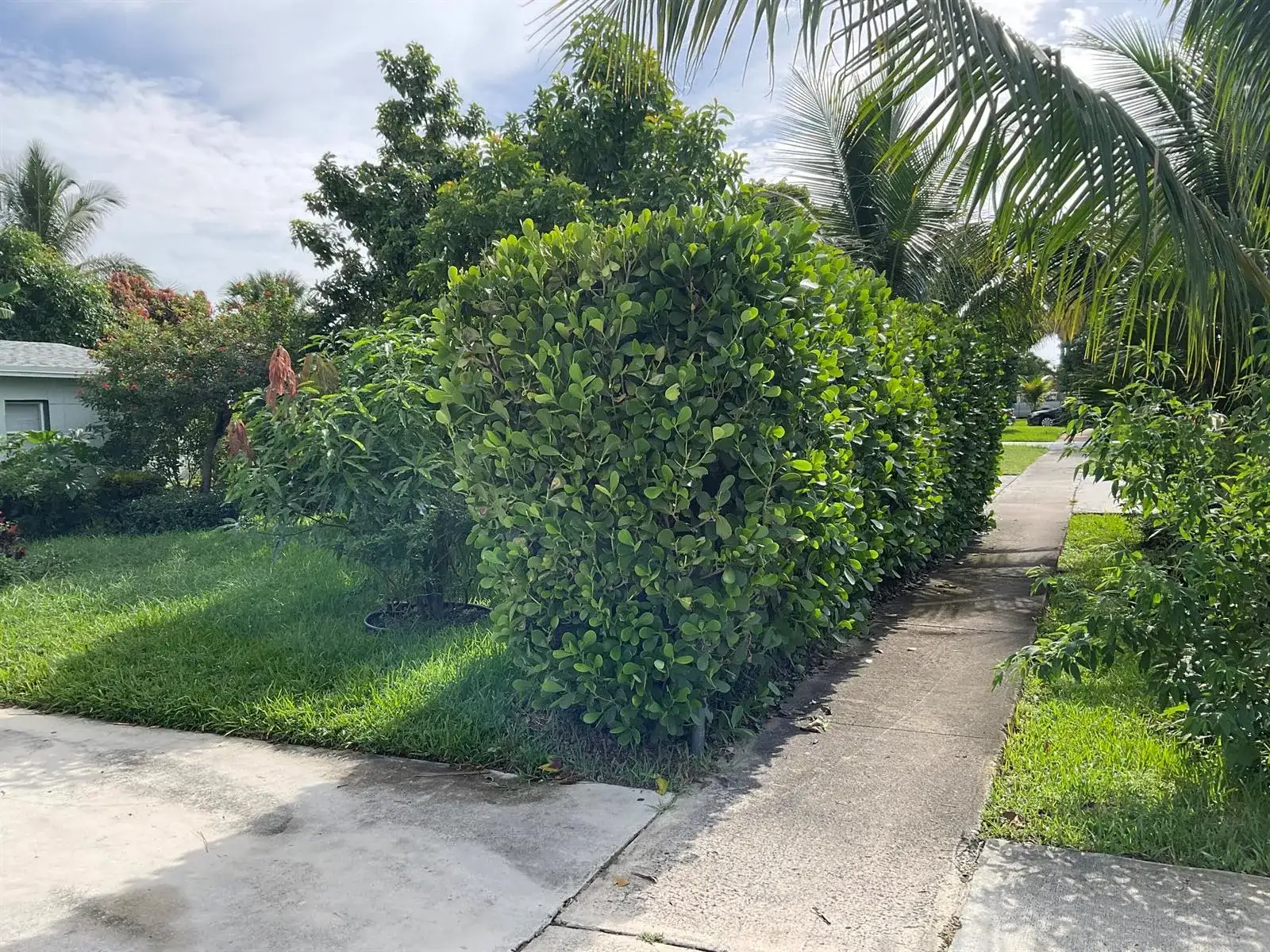 211 NE 27TH Avenue, Boynton Beach FL 33435 photo 4