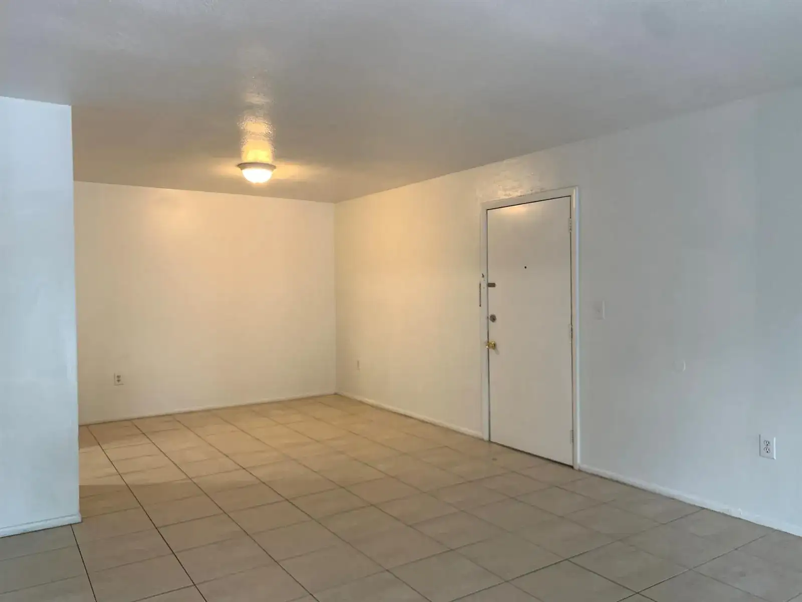 431 Executive Center Drive # 206, West Palm Beach FL 33401 photo 3