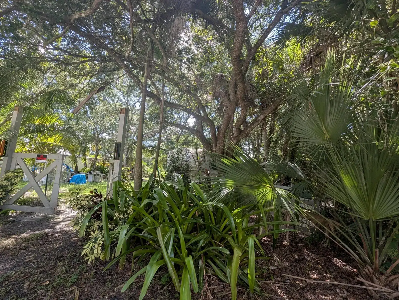8835 104TH Court, Vero Beach FL 32967 photo 5