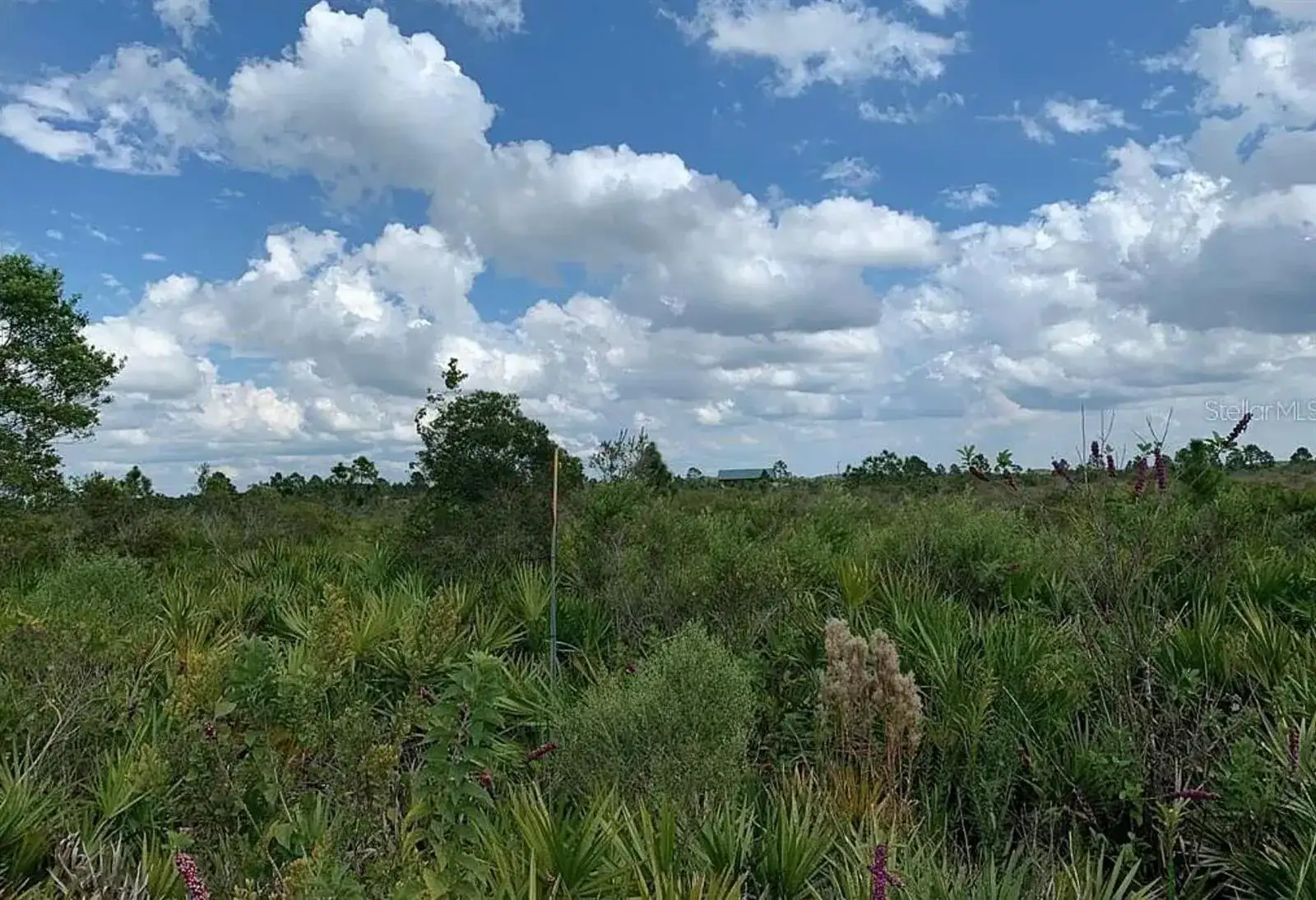 48341 Bermont Road, Punta Gorda FL 33982 photo 3