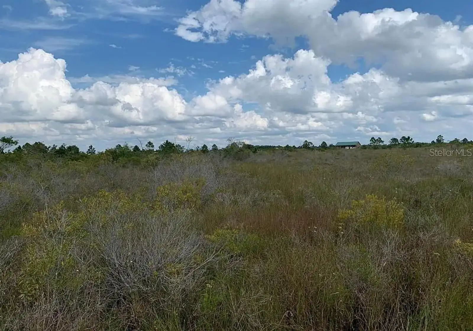 48341 Bermont Road, Punta Gorda FL 33982 photo 4