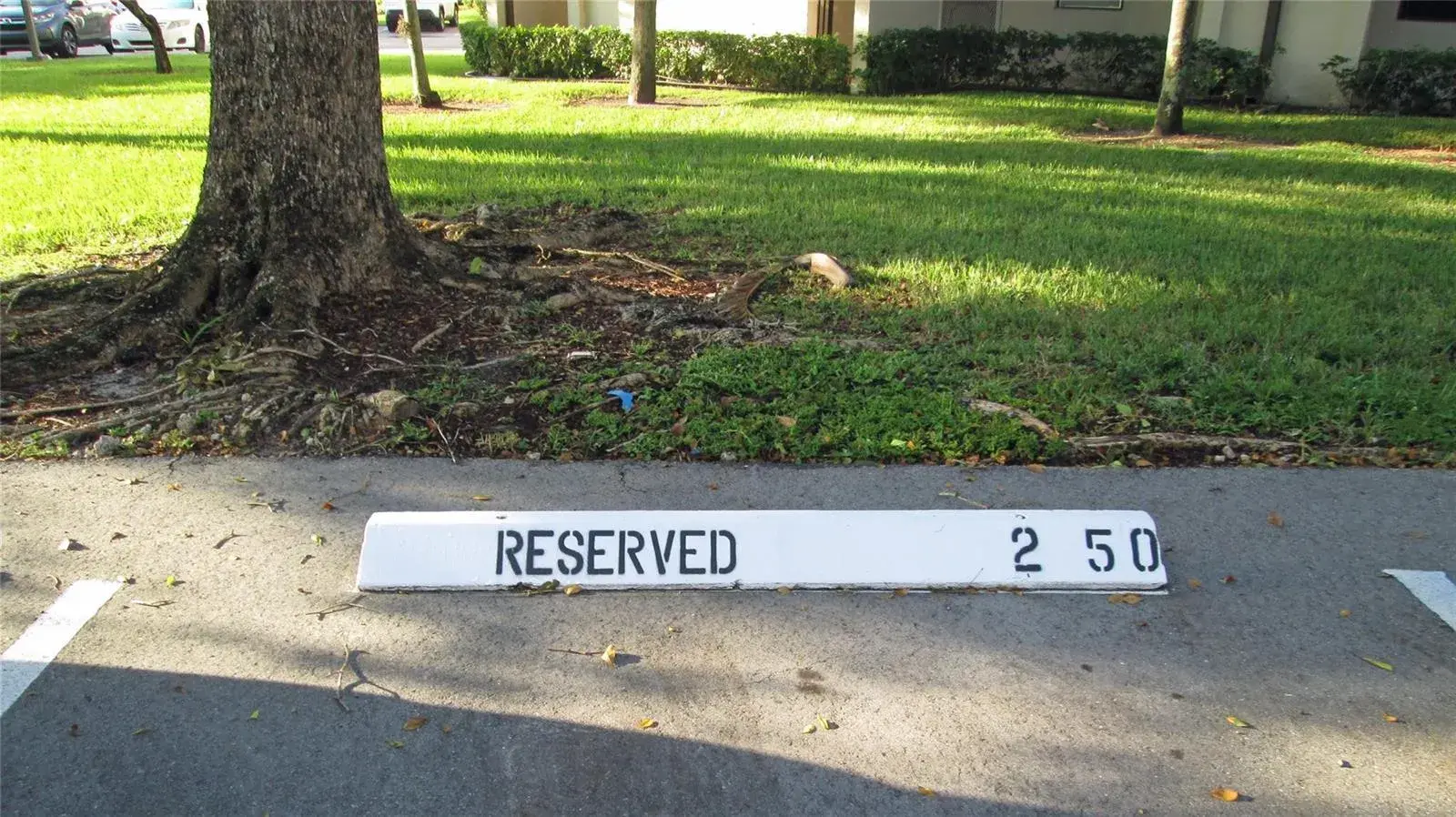 6351 N UNIVERSITY Drive # 224, Tamarac FL 33321