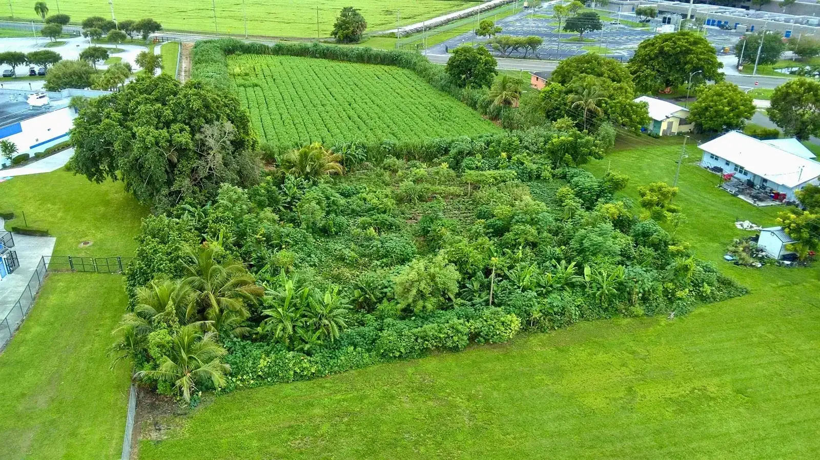 0 kismet, Pahokee FL photo 5