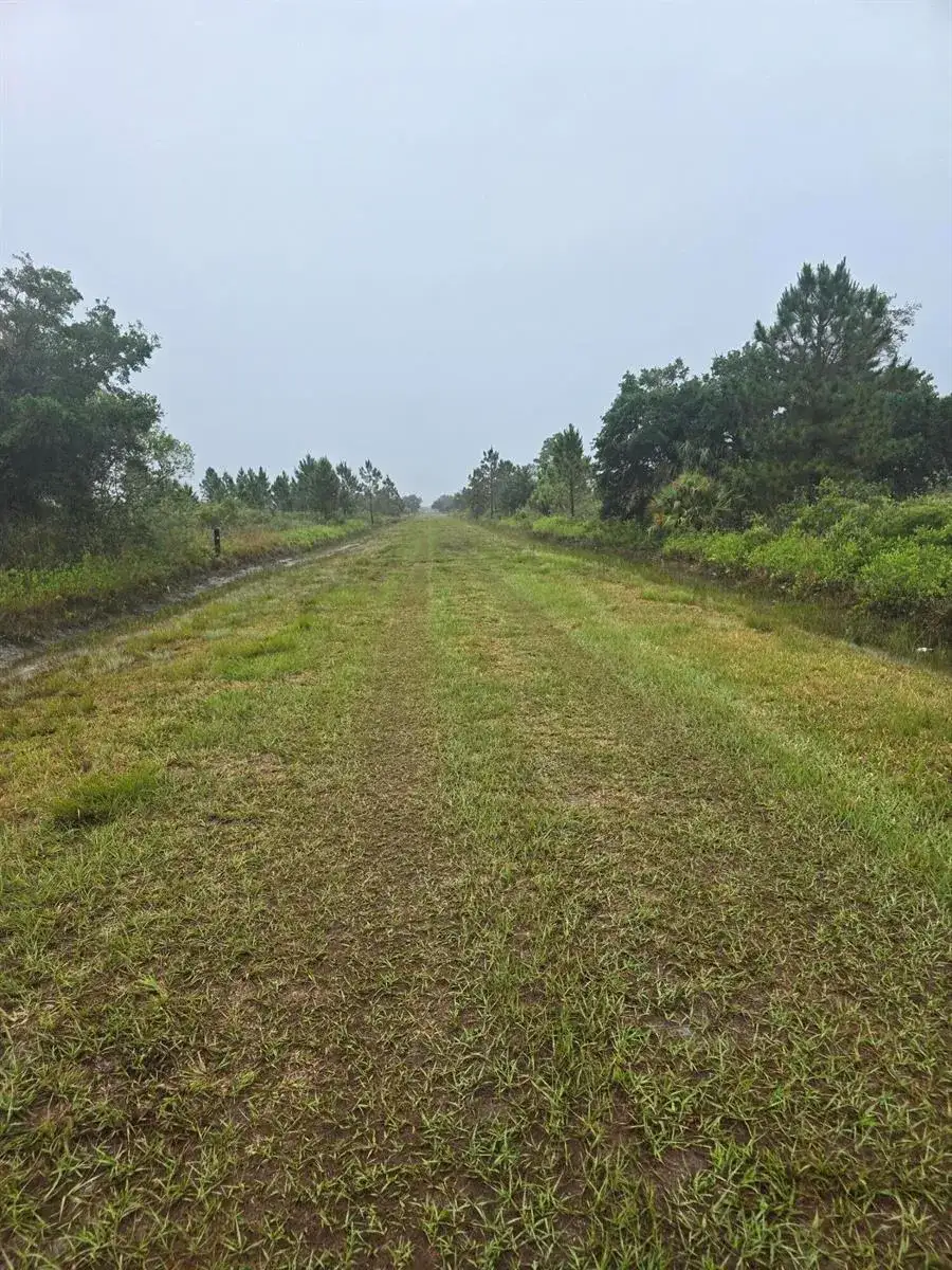 17439 NW 300th Street, Okeechobee FL 34972 photo 4