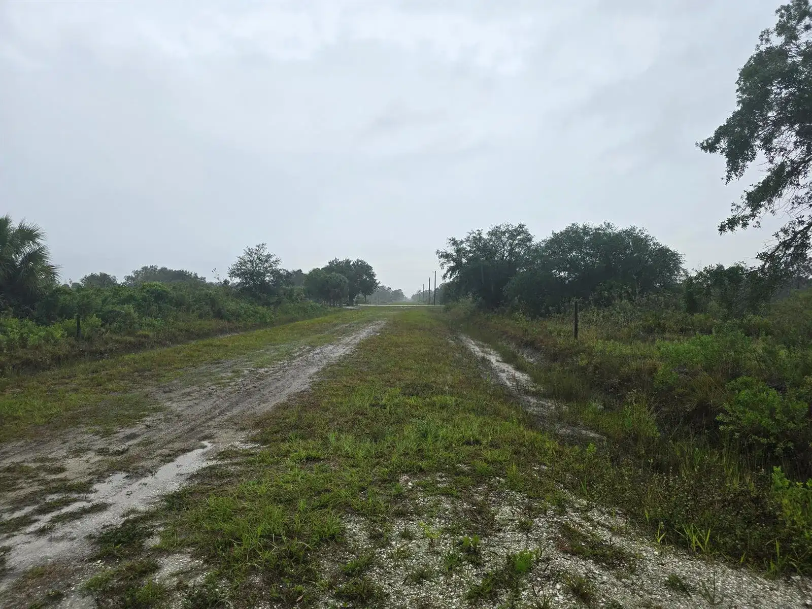 17439 NW 300th Street, Okeechobee FL 34972 photo 5