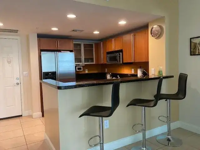 610 CLEMATIS Street # 723, West Palm Beach FL 33401 photo 4