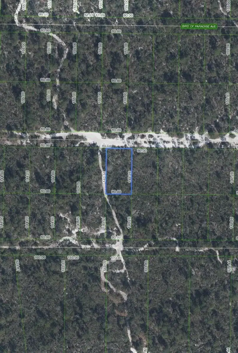 2221 Iris Avenue, Sebring FL 33875 photo 2