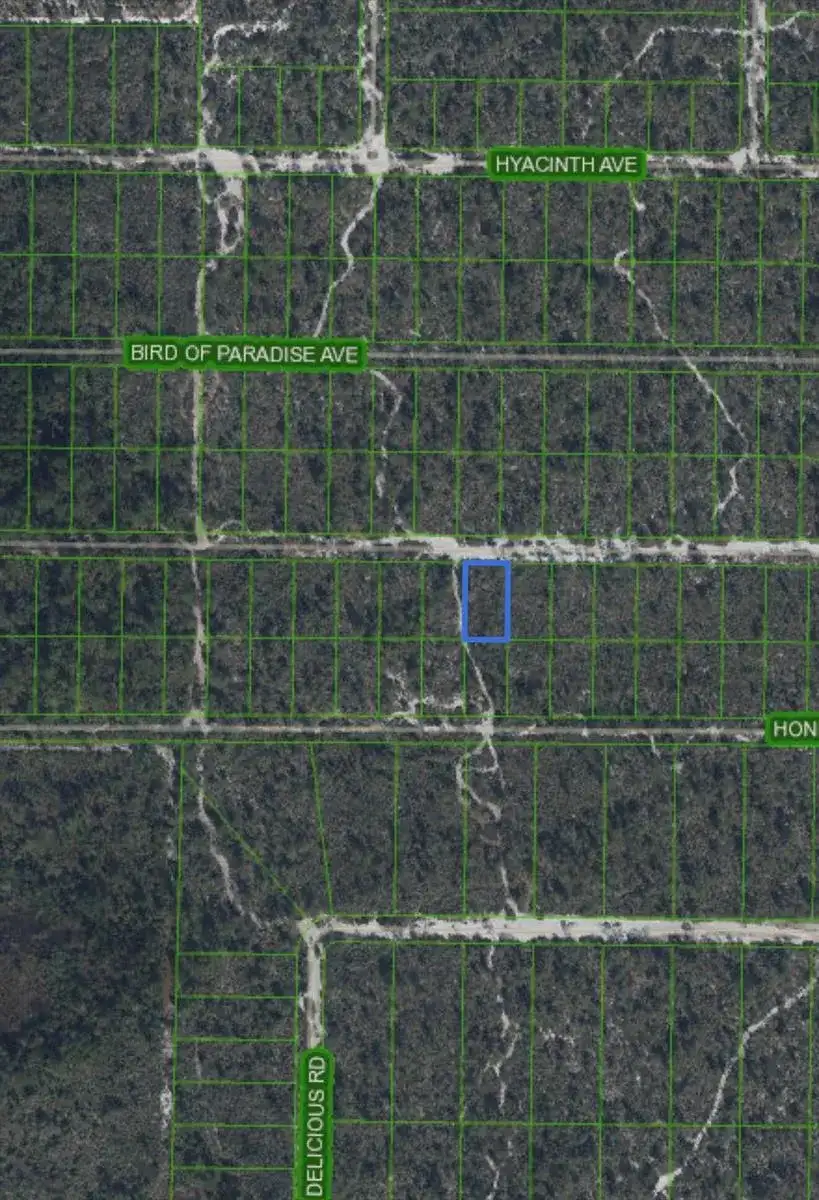 2221 Iris Avenue, Sebring FL 33875 photo 3