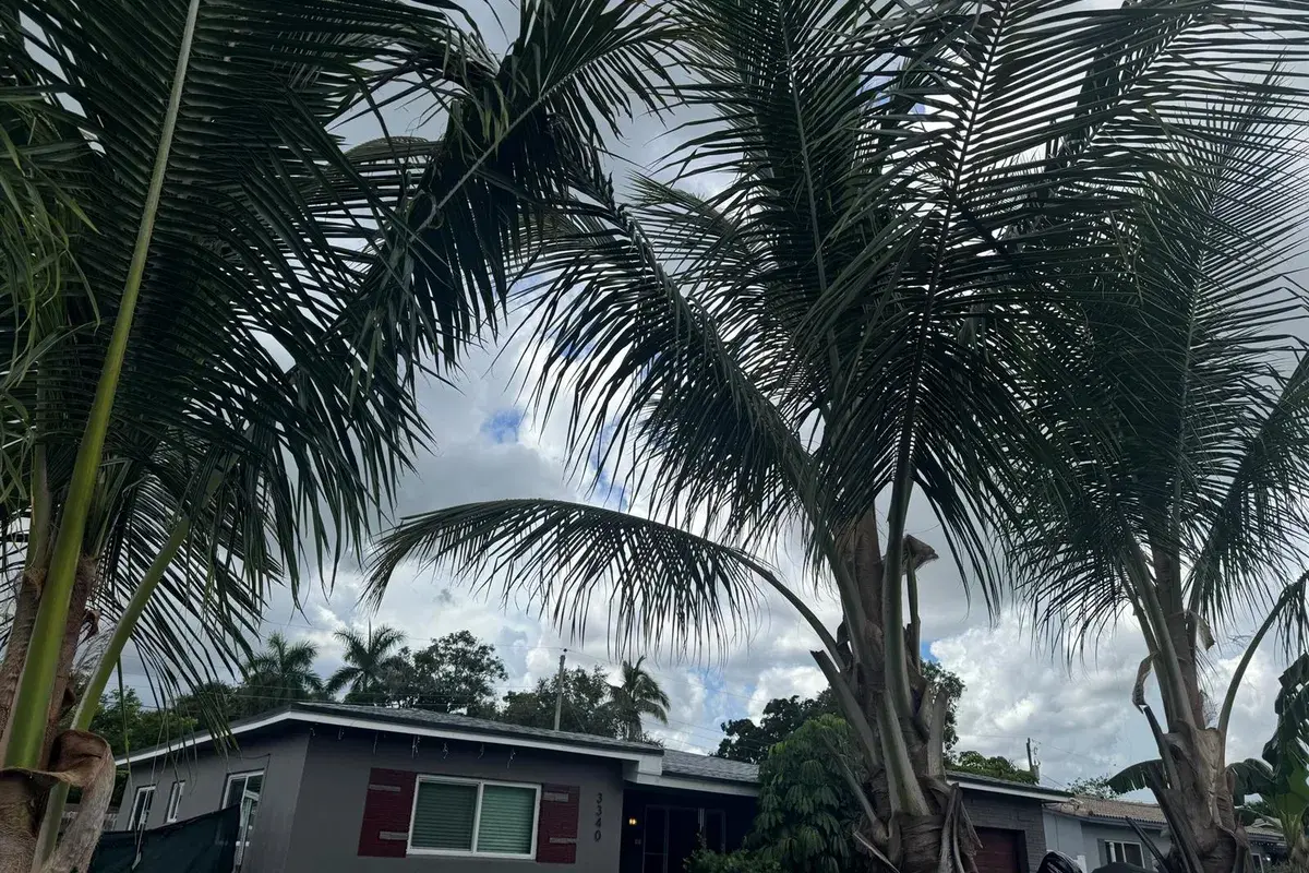 3340 SW 20TH Court, Fort Lauderdale FL 33312