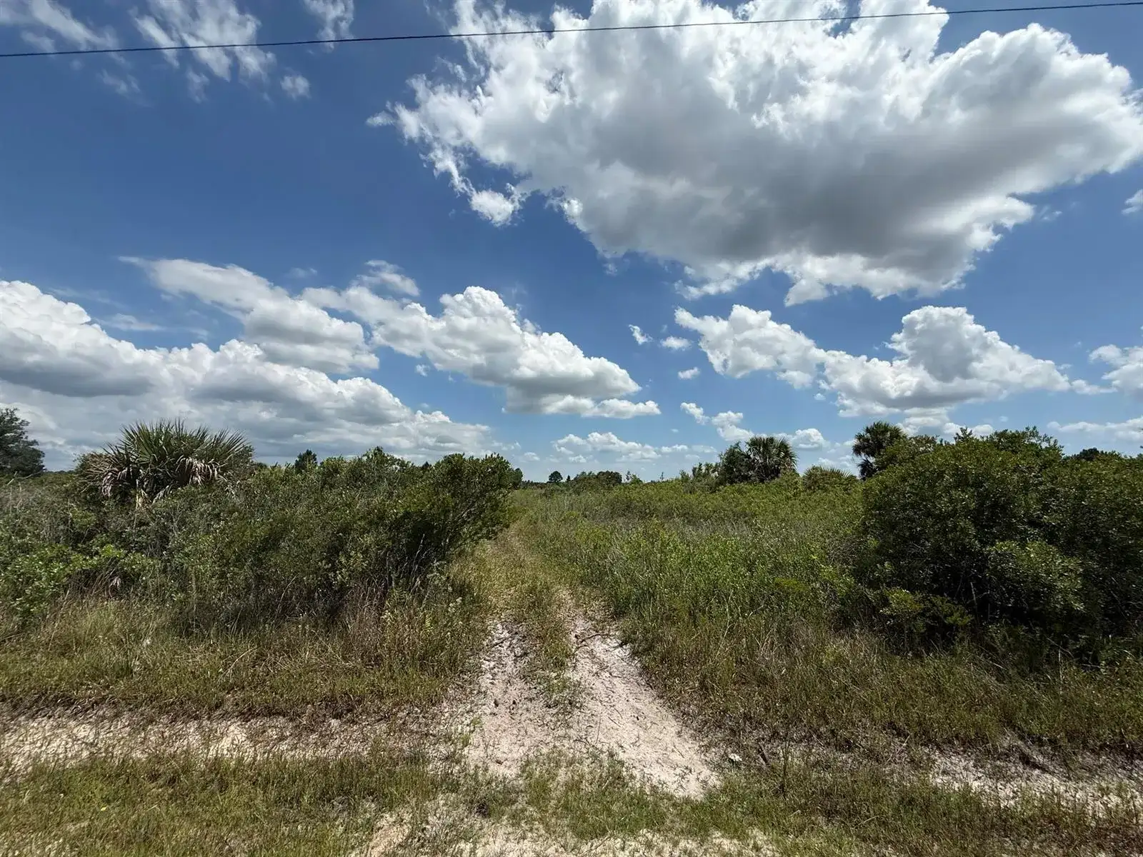 16162 NW 290TH Street, Okeechobee FL 34972 photo 2