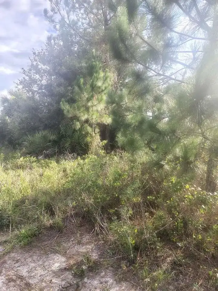 16791 NW 314th Street, Okeechobee FL 34972 photo 3