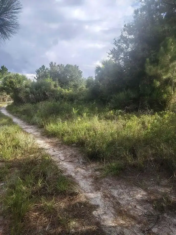 16791 NW 314th Street, Okeechobee FL 34972 photo 4
